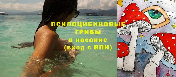 ПСИЛОЦИБИНОВЫЕ ГРИБЫ Армянск